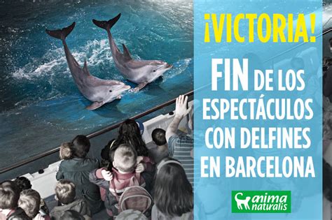 El zoo de Barcelona elimina el espectáculo con delfines ...