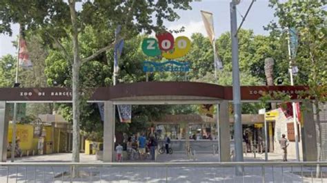 El Zoo de Barcelona obté un 7,8 per part dels visitants ...