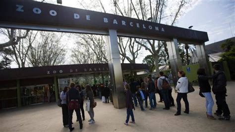 El Zoo de Barcelona se queda sin camellos, delfines y ...