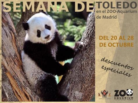 El Zoo de Madrid celebra la Semana de Toledo con ...