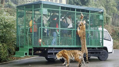 El zoo que encierra en jaulas a las personas y no a los animales