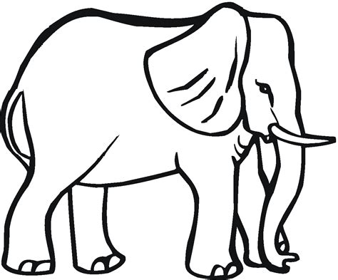 Elefante #6401  Animales  – Colorear dibujos gratis