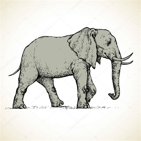 Elefante de perfil dibujo | Elefante. Dibujo vectorial ...
