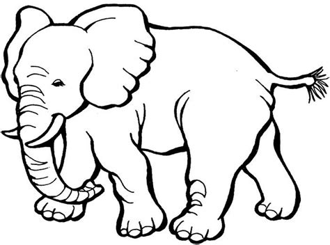 Elefante para colorear HD | DibujosWiki.com