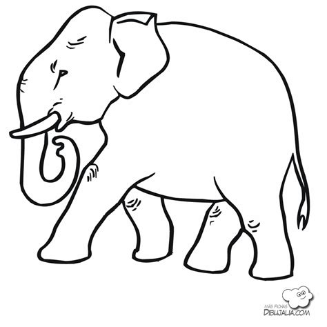 Elefantes – Dibujos para pintar | Colorear imágenes
