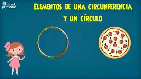Elementos de la circunferencia y círculo para niños   YouTube