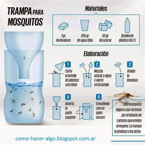 Eliminar moscas y mosquitos | Decoración