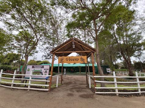 Embellece tu hogar con las plantas del vivero casa verde del Parque de ...