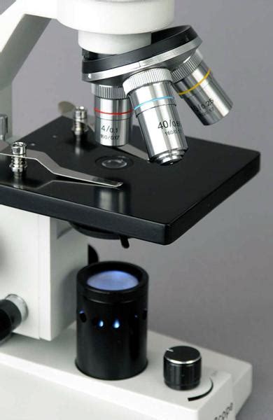 Embriologia e Histologia: Microscopia