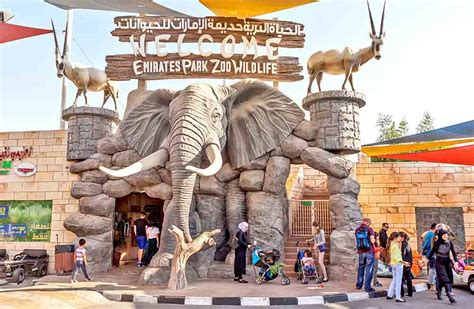 Emirates Park Zoo   Tickets Rate and Timing   Abu Dhabi