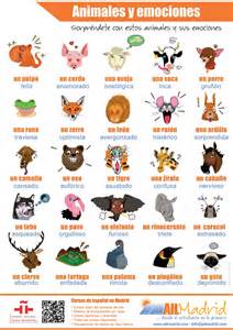 emociones y animales media qualidad_8 | Español para ...