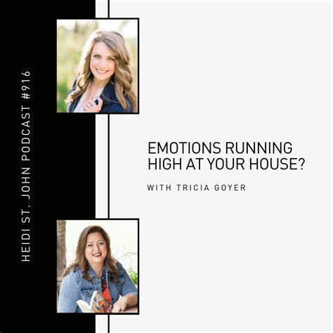 Emotions Running High at Your House? Mailbox Monday with Tricia Goyer ...