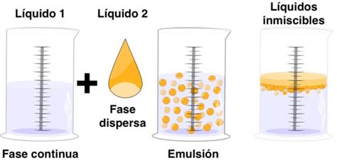 Emulsión Química   Concepto, fases, tipos y ejemplos