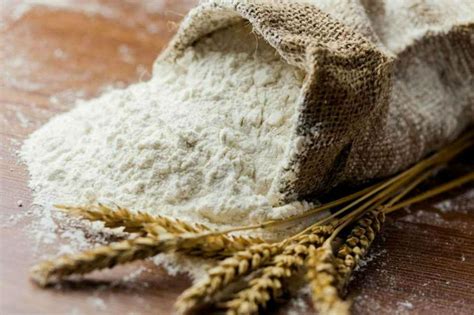 En 2019 subió casi 5% la exportación de harina de trigo y aportó US$300 ...
