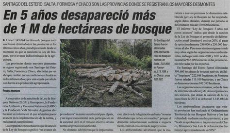 En 5 años desapareció más de 1 M de hectáreas de bosque ...