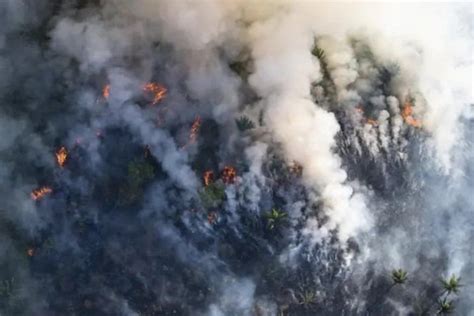 En 7 meses, más de 36 mil incendios consumen la Amazonia ...