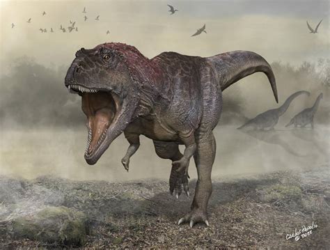 En Argentina descubren nueva especie de dinosaurio   Megalópolis