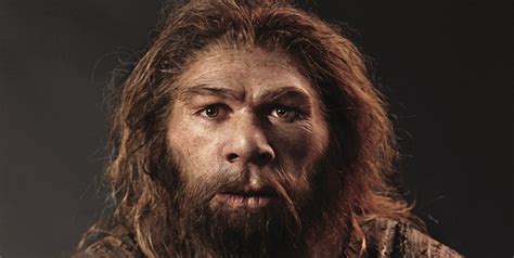 ¿En qué era superior el neandertal sobre el homo sapiens ...