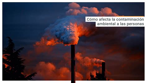 En qué nos afecta la contaminación ambiental   Energía ...