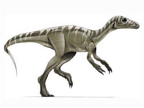 Enciclopedia de Dinosaurios   El Triasico