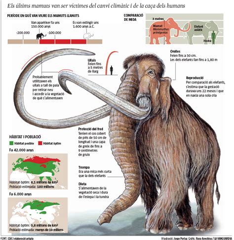Encontrado un mamut en Cuenca