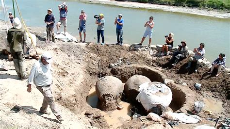 Encuentran en Argentina fósiles de enormes armadillos prehistóricos