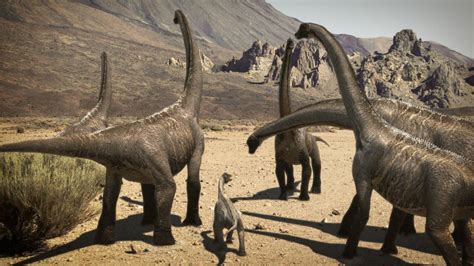 Encuentran en Malargüe uno de los dinosaurios más grandes del mundo ...
