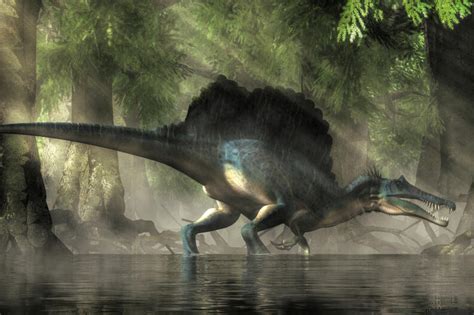 Encuentran evidencia del primer dinosaurio acuático   VIX