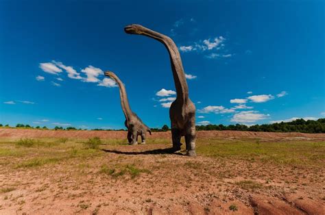 Encuentran los restos del dinosaurio más grande del mundo ...