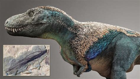 Encuentran plumas fosilizadas de dinosaurios de hace 118 millones de años