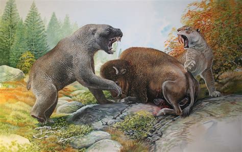 End of the Megafauna   Giant Short faced Bear, North American Smilodon ...