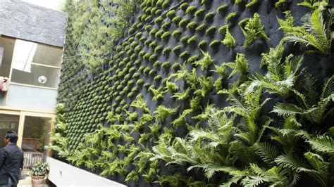 Energía solar arquitectónica: Muros Verdes