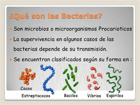 Enfermedades bacterianas