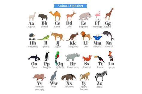 English vector alphabet for kids with cute wild animals ...