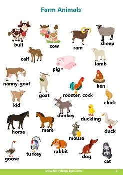 English Vocabulary for Kids. Farm Animals by FUNNY LANGUAGES | TpT