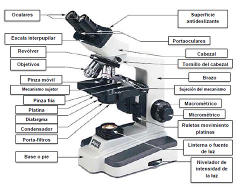 ENIGMÁTICAMENTE: El microscopio óptico