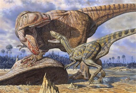 Enorme esqueleto de Tiranosaurio rex sugiere que los ...