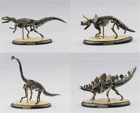 Ensamblar huesos de dinosaurio Triceratops esqueleto fósil Mammuthus ...