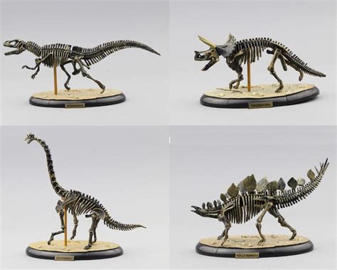 Ensamblar huesos de dinosaurio Triceratops esqueleto fósil ...