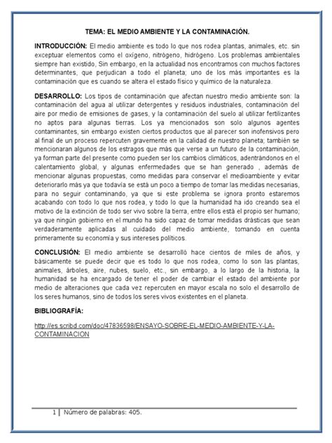 Ensayo Sobre La Contaminacion | PDF