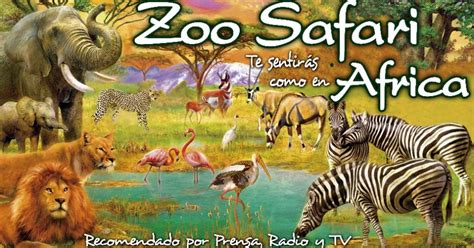 Entrada a Zoo Safari Fauna Aventura, la pequeña Africa 20% ...