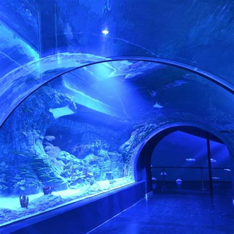 Entradas Atlantis Aquarium Xanadú 2022 | PACommunity