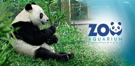 Entradas Zoo Aquarium de Madrid al mejor precio