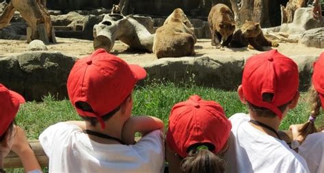 Entradas Zoo de Madrid 2021. Descuentos y Guía GRATIS ...