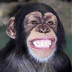 Entre 2 Caras: Los monos inventaron la risa