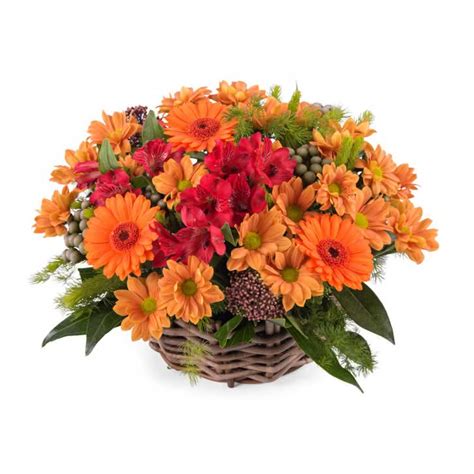 Enviar flores   Arreglo en cesta de flor variada   Interflora