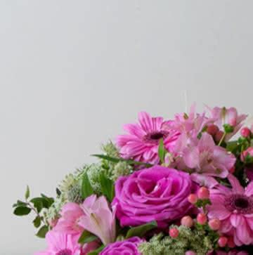 Enviar flores   Cesta de Gerberas Rosas   Interflora