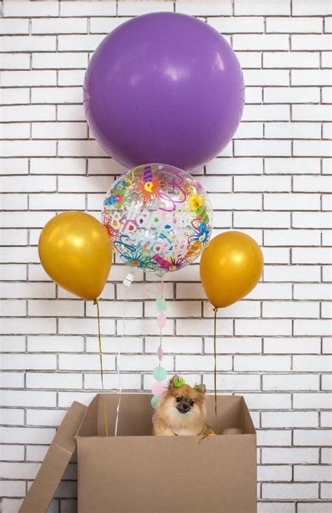 Envío de globos gigantes para cumpleaños a domicilio con ...