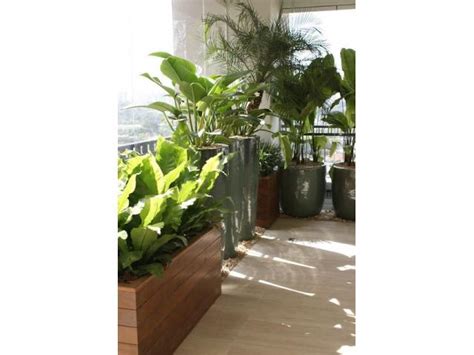 Envio de plantas a domicilio. Plantas de diseño interior y ...