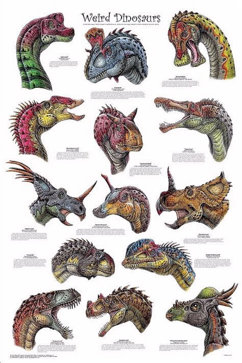 equipo messi: Varios tipos de dinosaurios